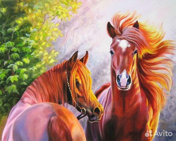 Алмазная мозаика 40x50 Две ухоженные лошади