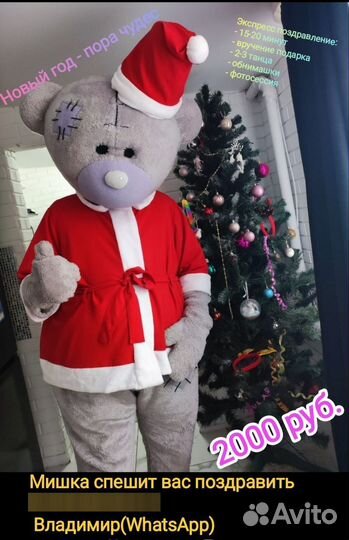 Поздравления от Чебурашки и мишки Тедди