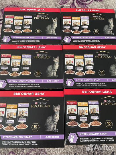 Влажный корм proplan