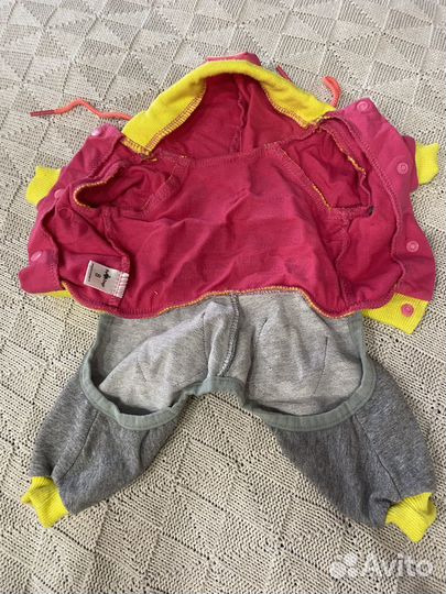 Одежда на маленькую собачку (той-терьер,йорк)