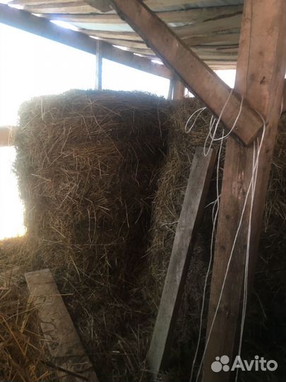Сено в рулонах и в мешках
