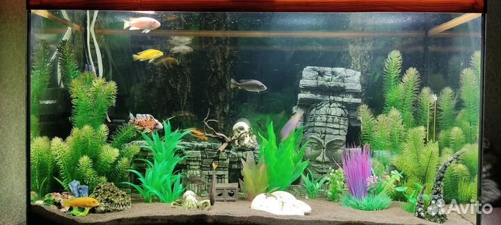Аквариум 200л