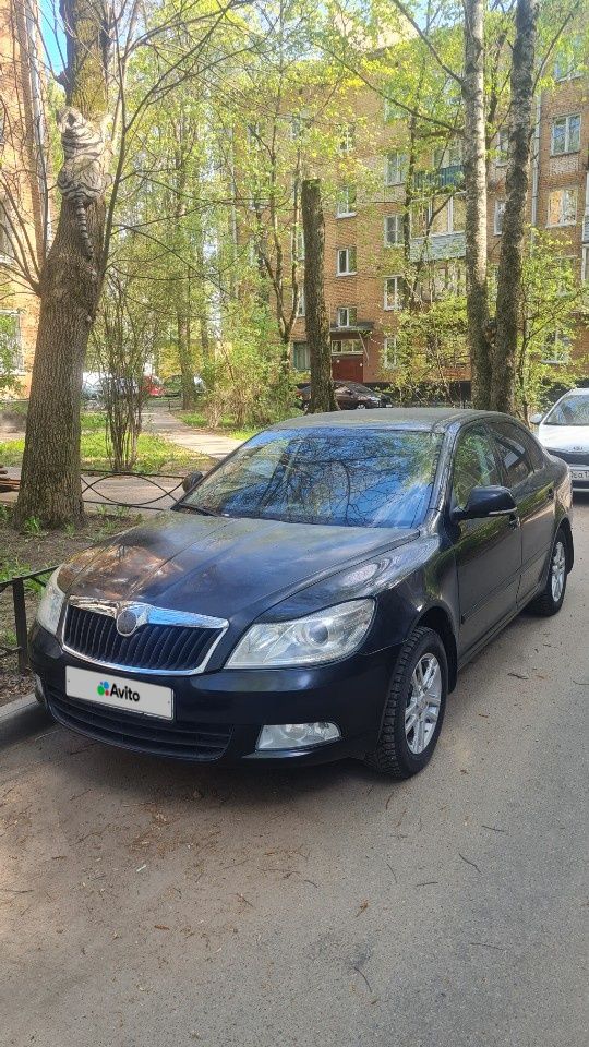 Skoda Octavia: фото владельца