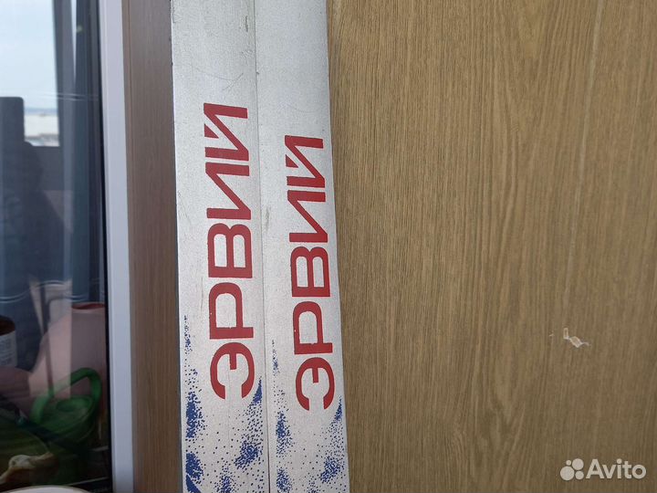 Беговые лыжи