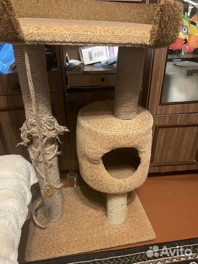 Когтеточка для кошек высокая