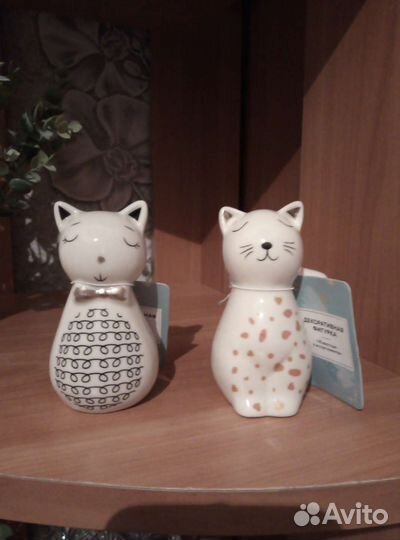 Котики новые
