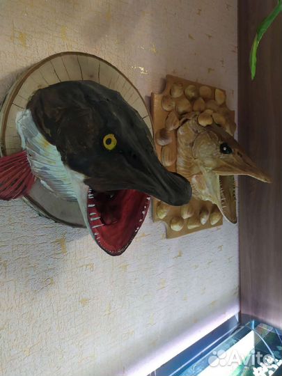 Голова щуки