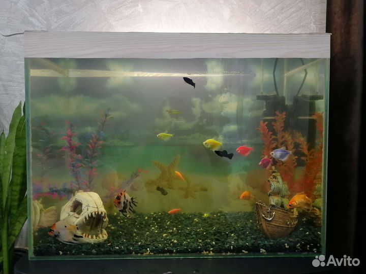 Аквариум