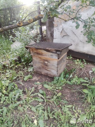 Улей для пчел бу