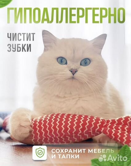 Игрушка для кошек и собак рыбка с мятой