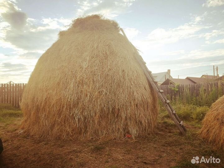 Сено в Мешках