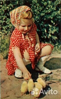 Коллекция открыток 