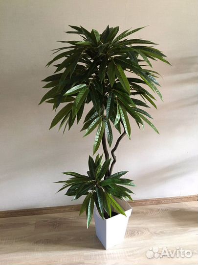 Искусственное дерево Манго