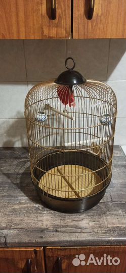 Клетка для попугая большая