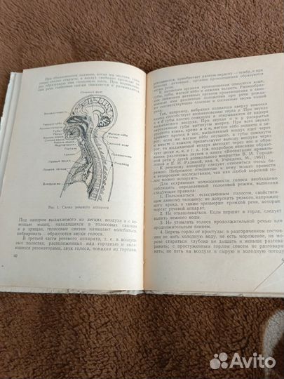 Художественное чтение в детском саду