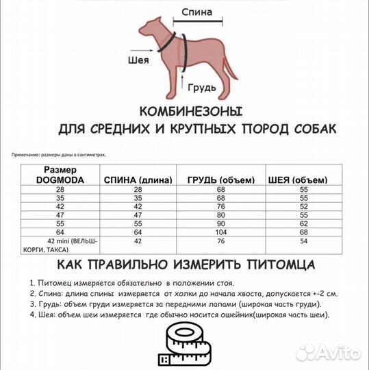 Дождевики на средних собак