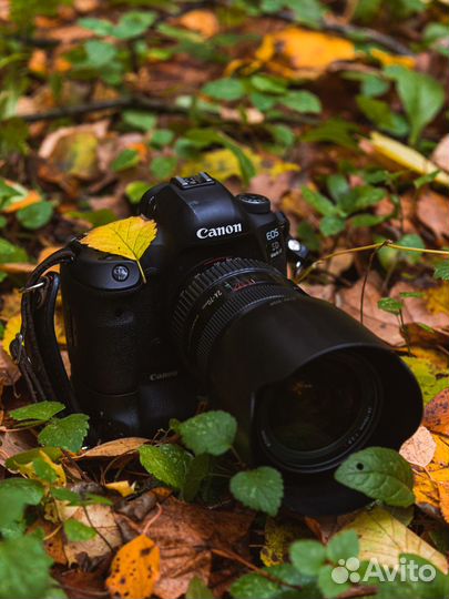 Обучение фотографии онлайн/офлайн г. Москва