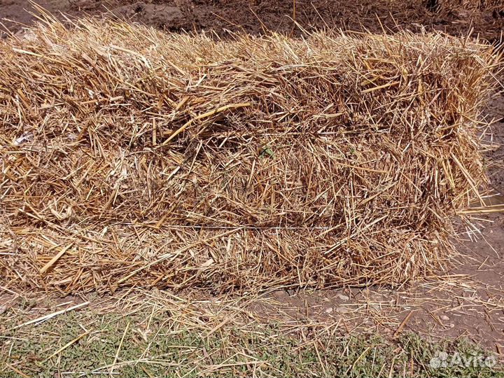 Солома в тюках