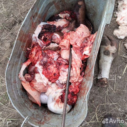 Говяжье обрезки и трибуха