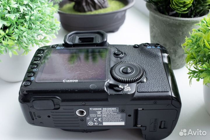 Canon 5d mark ii body