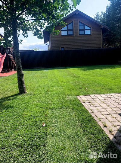 Рулонный газон