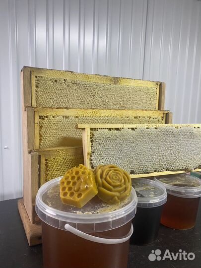 Мёд 2023 гречишный лесной цветочный