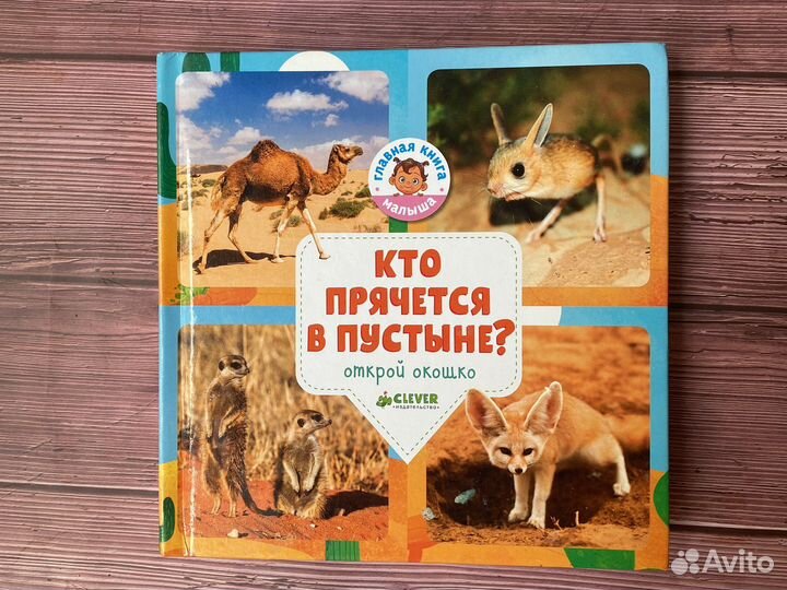 Главная книга малыша Клевер набор