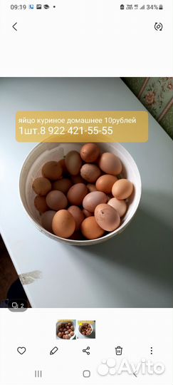 Домашние куриные яйца с Башкирии