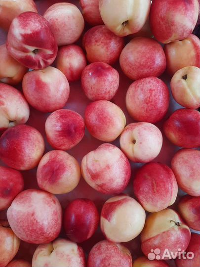 Виноград, Нектарин, Слива, Персик