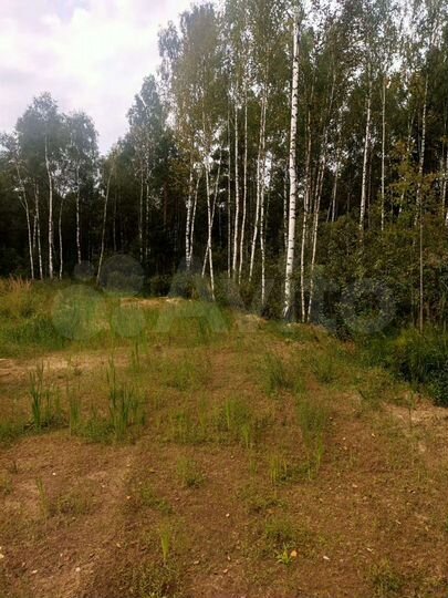 Участок 9,3 сот. (СНТ, ДНП)