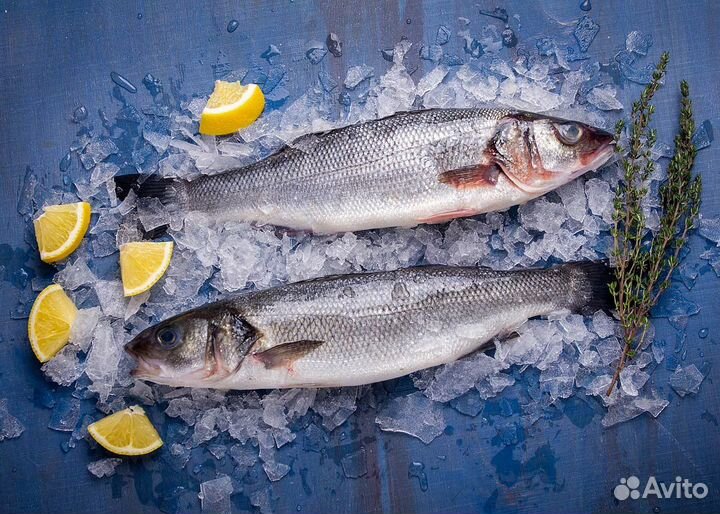 Сибас Дорадо Семга Лосось Креветки