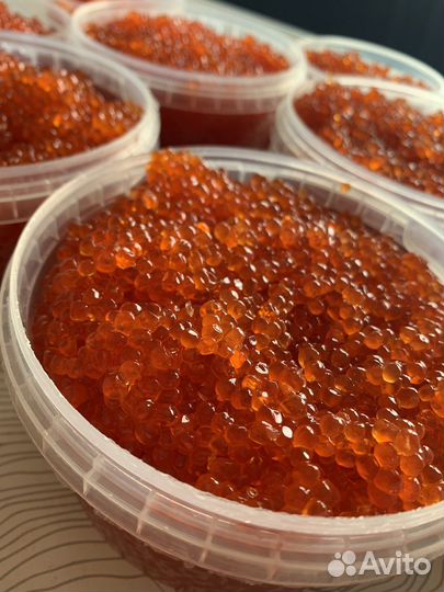 Икра кеты красная 2023