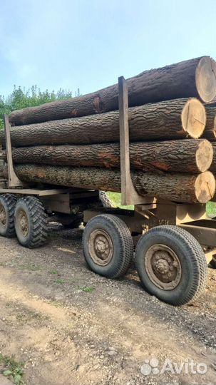 Стройматериалы дуб кругляк