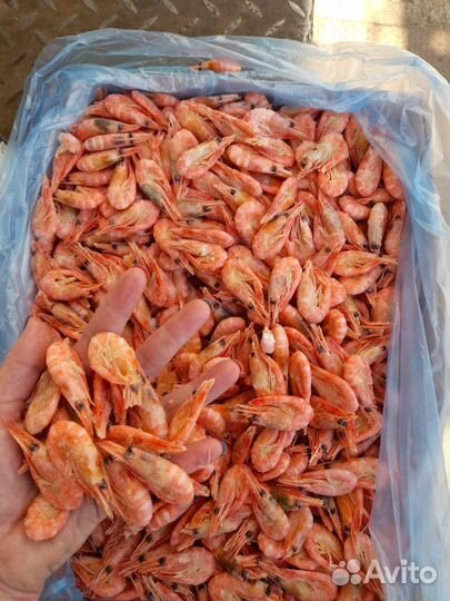 Рыба продажа оптом морепродукты