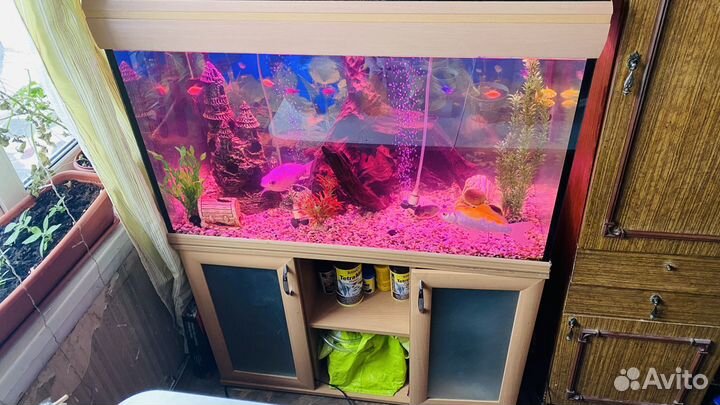 Аквариум с тумбой 280 литров без рыбок