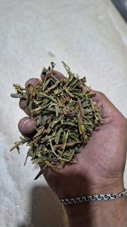 Саган-Дайля травяной чай