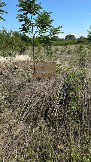 Участок 6 сот. (ИЖС)