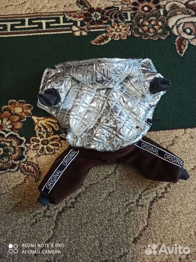 Одежда для собак