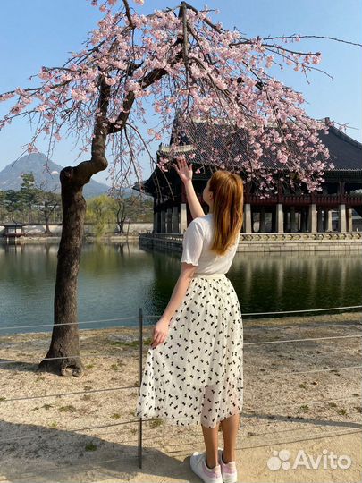 Репетитор по Корейскому языку