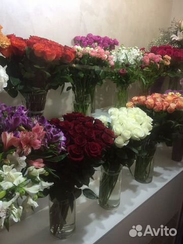Авито саратов купить цветы пленка прозрачная для цветов купить в спб