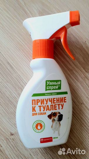 Одежда для маленьких собак и пеленки