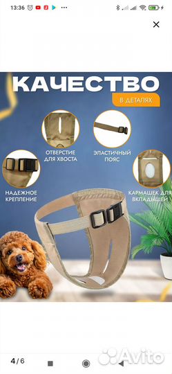 Трусы для собак