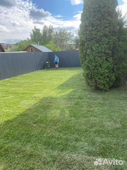 Укладка рулонного газона