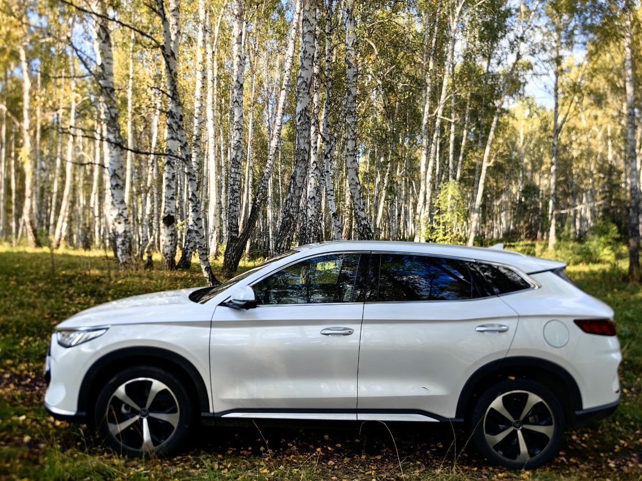 BYD Song Plus: фото владельца