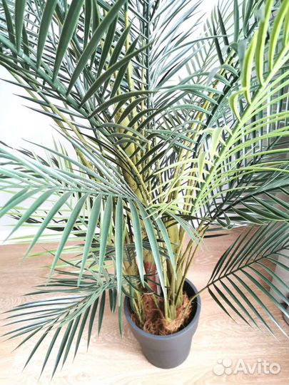 Дерево искусственное пальма в кашпо