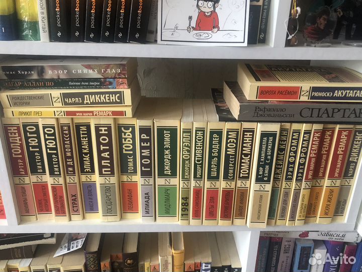 Книги классика Виктор Гюго, Эрих Мария Ремарк