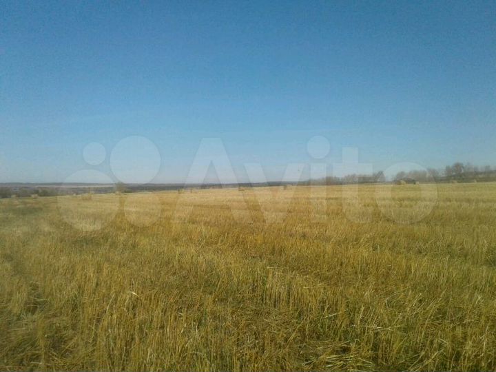 Участок 8,5 га (СНТ, ДНП)