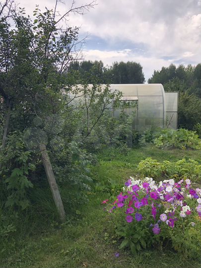 Участок 6,6 сот. (СНТ, ДНП)