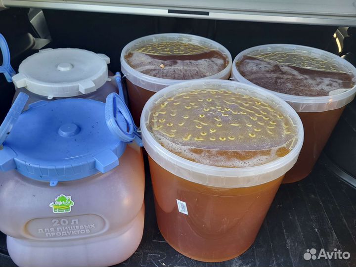 Продам мёд. Разнотравие. Пасека в деревне