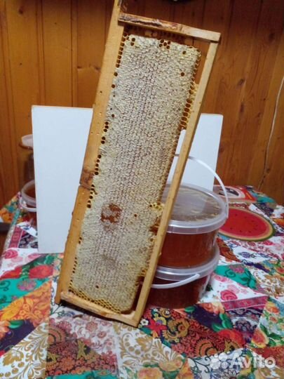 Свежий мёд с личной пасеки